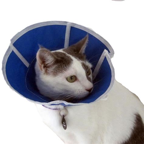 soft elizabethan collar cat